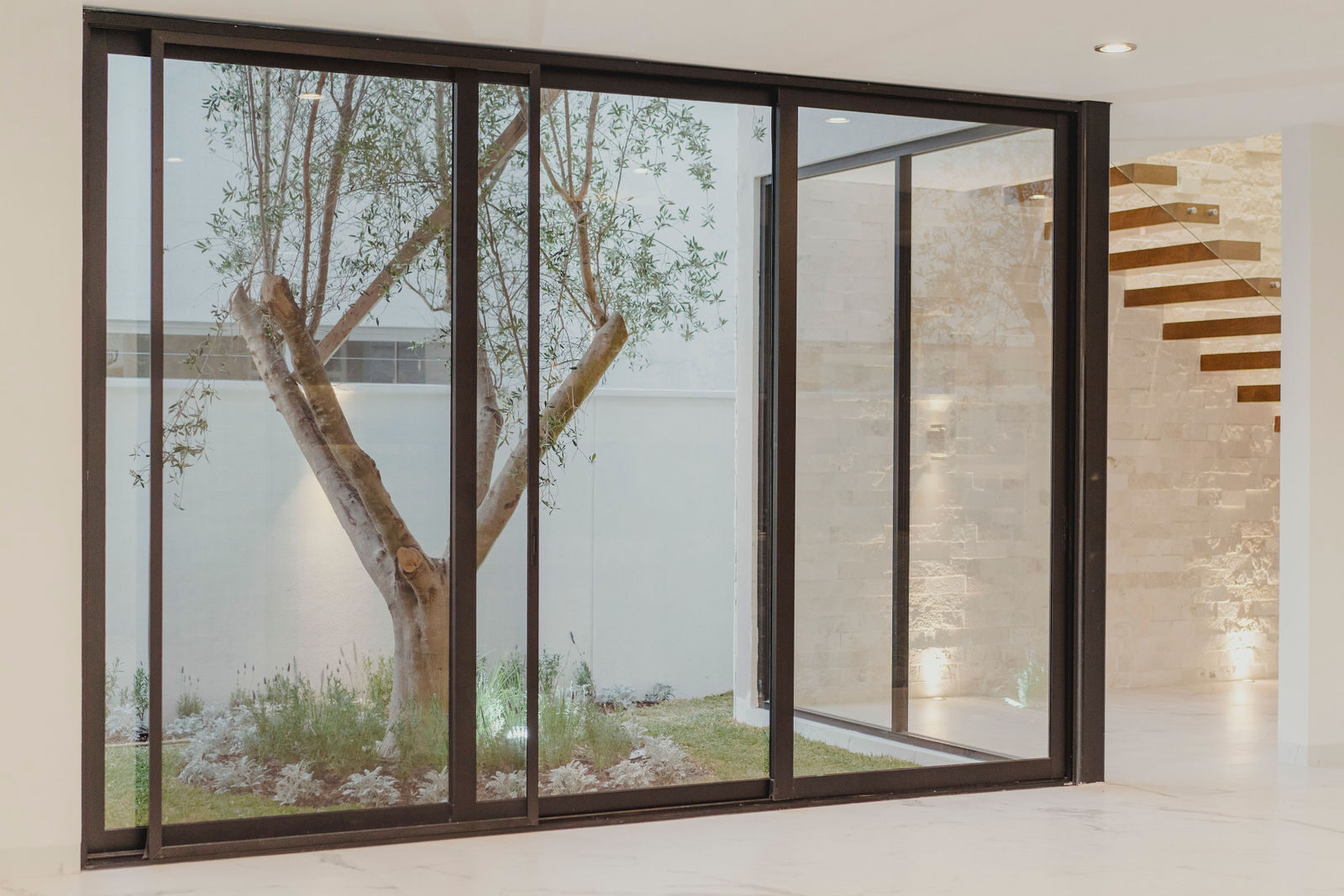 Interior arquitectónico con muro de cristal y árbol al fondo